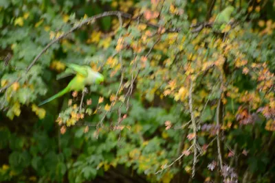 DSC_0495 (Large).JPG